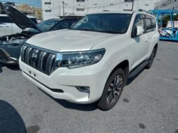 𝗧𝗼𝘆𝗼𝘁𝗮 𝗟𝗮𝗻𝗱 𝗖𝗿𝘂𝗶𝘀𝗲𝗿 𝗣𝗿𝗮𝗱𝗼 𝗧𝗫-𝗟 𝗣𝗮𝗰𝗸𝗮𝗴𝗲 2023 Pearl Color