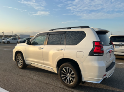 
										Toyota Land Cruiser Prado TX-L Limited Package 2021 Pearl Color full									