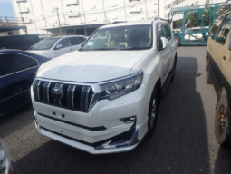 Toyota Land Cruiser Prado TX-Limited Package 2021 Pearl Color