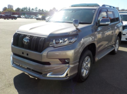 Toyota Land Cruiser Prado TX-L Limited Package 2021 Gray Color