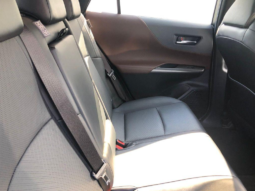 
										Toyota Harrier Z Leather Package (Non-Hybrid) 2020 Pearl Color full									