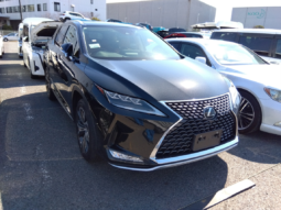 Lexus RX300 F Sport Package 2021 Black Color