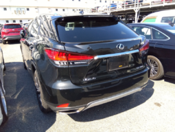 
										Lexus RX300 F Sport Package 2021 Black Color full									