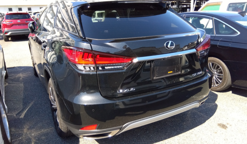 
								Lexus RX300 F Sport Package 2021 Black Color full									