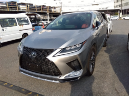 Lexus RX300 F Sport Package 2021 Gray Color