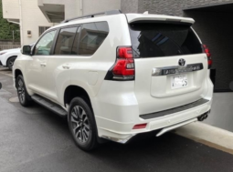 
										Toyota Land Cruiser Prado TX-L Limited Package 2023 Pearl Color full									