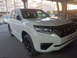Toyota Land Cruiser Prado 70th Anniversary Edition Package 2021 Pearl Color